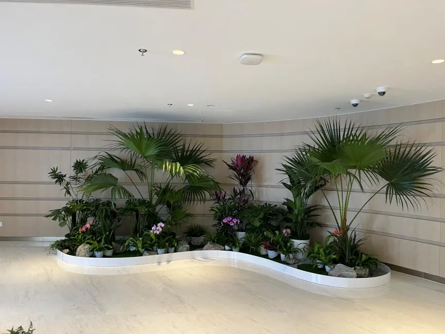 宁波奉化绿植出租公司，引领办公绿植新风尚